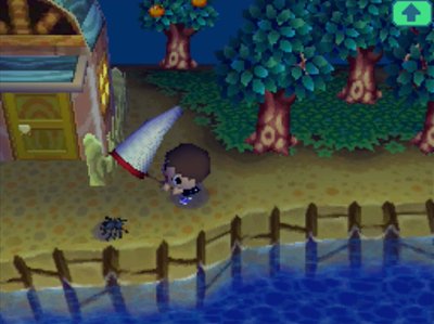 Catching my first tarantula in Animal Crossing: Wild World for Nintendo DS.