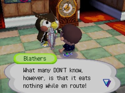 Blathers: What many DON'T know, however, is that it eats nothing while en route!
