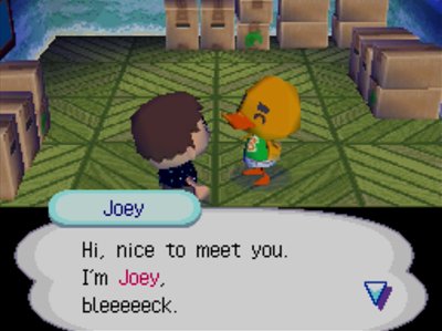 Joey: Hi, nice to meet you. I'm Joey, bleeeeeck.