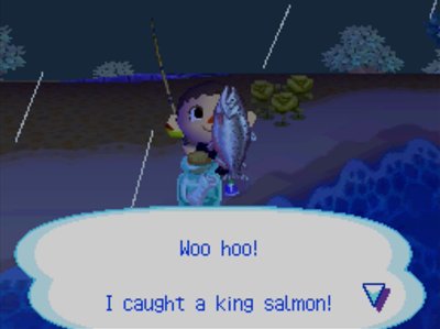 Woo hoo! I caught a king salmon!