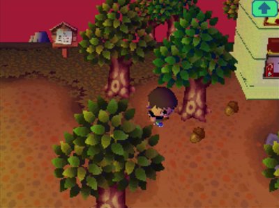 Picking up acorns during the Acorn Festival in Animal Crossing: Wild World.