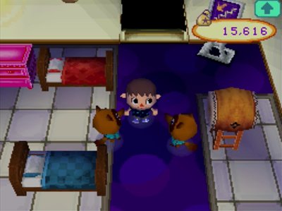 Two beds in the upstairs of Nookington's in Animal Crossing: Wild World.