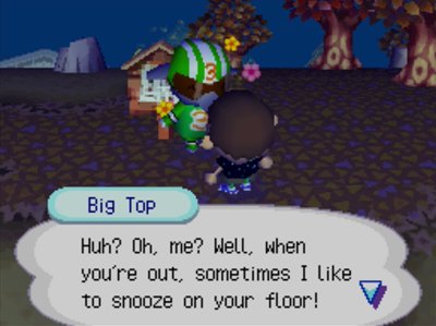 Big Top: Huh? Oh, me? Well, when you're out, sometimes I like to snooze on your floor!