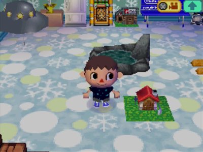 The one-story model in my Animal Crossing: Wild World house.