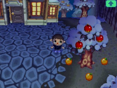 An apple tree, with oranges below it on the ground.