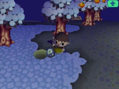 Digging up a fossil in the snow of Animal Crossing: Wild World (ACWW).