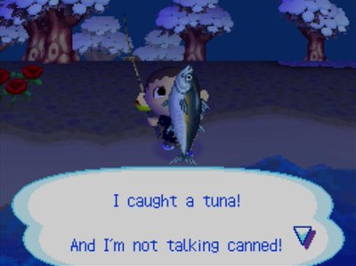 I caught a tuna! And I'm not talking canned!