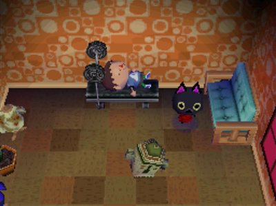 Resting on Kiki's weight bench.