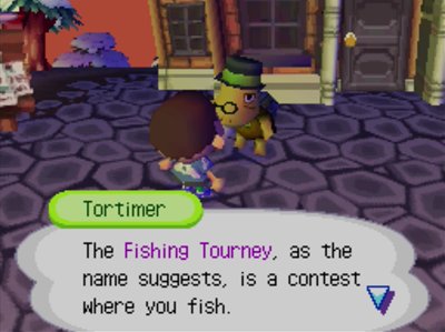Tortimer: The Fishing Tourney, as the name suggests, is a contest where you fish.