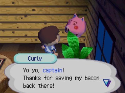 Curly: Yo yo, captain! Thanks for saving my bacon back there!