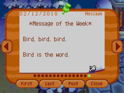 *Message of the Week* Bird, bird, bird. Bird is the word.