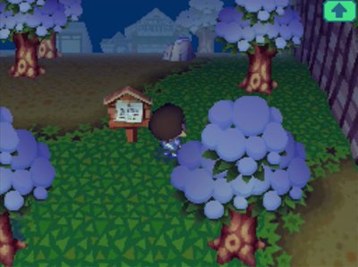 Snow covers the trees, but the grass is green.