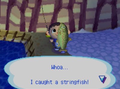 Whoa... I caught a stringfish!