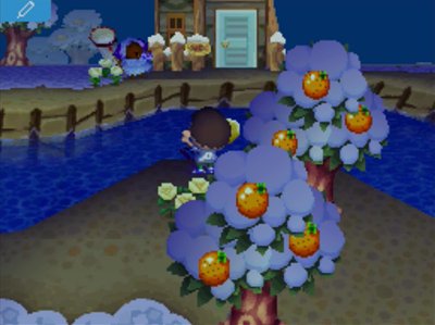 Waving to Baabara from across the river in Animal Crossing: Wild World.