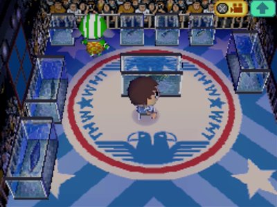 Eight fish tanks in Big Top's house.