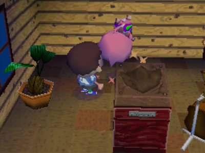 Curly flips as he takes his medicine in ACWW.