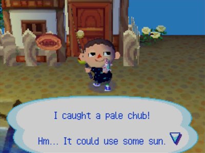 I caught a pale chub! Hm... It could use some sun.