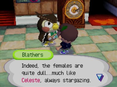 Blathers: Indeed, the females are quite dull...much like Celeste, always stargazing.