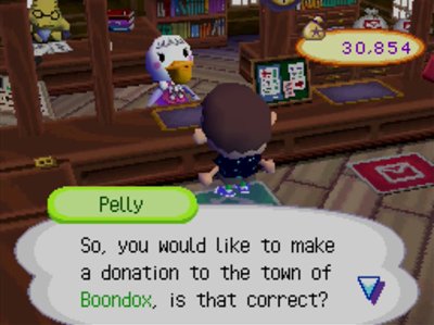 Pelly: So, you would like to make a donation to the town of Boondox, is that correct?