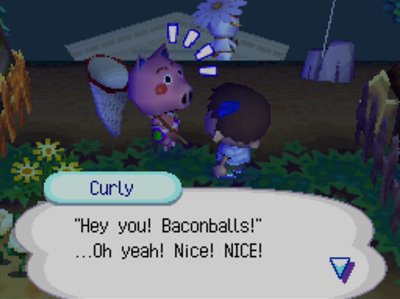 Curly: Hey you! Baconballs! ...Oh yeah! Nice! NICE!