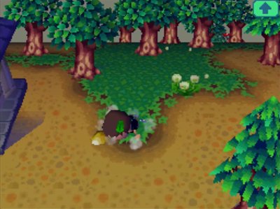 Jeff falls on his face in Animal Crossing: Wild World.