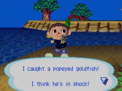 I caught a popeyed goldfish! I think he's in shock!