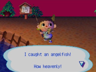 I caught an angelfish! How heavenly!