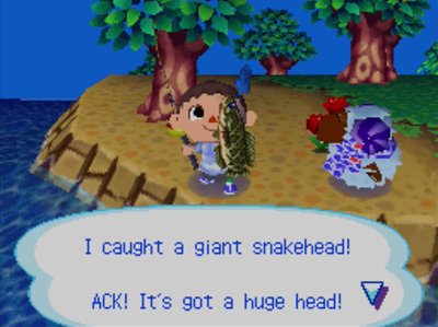 I caught a giant snakehead! ACK! It's got a huge head!