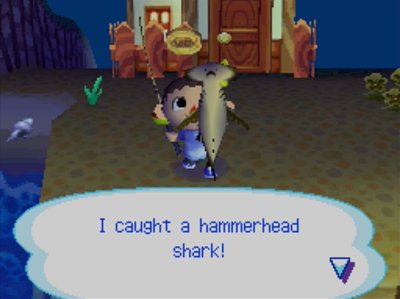 I caught a hammerhead shark!