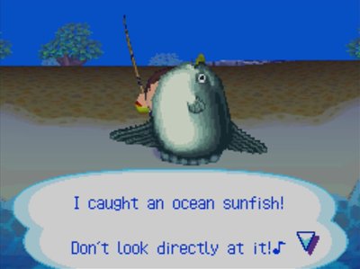 I caught an ocean sunfish! Don't look directly at it!