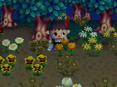 Jeff's flower garden in Animal Crossing: Wild World.