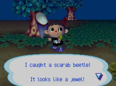I caught a scarab beetle! It looks like a jewel!