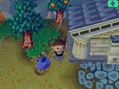 Rosie falls into a pitfall.