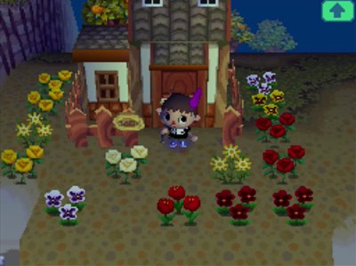 Curly's flower garden.