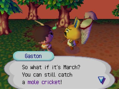 Gaston: So what if it's March? You can still catch a mole cricket!