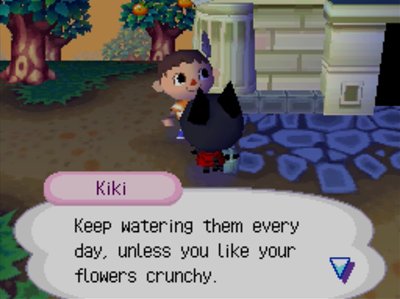 Kiki: Keep watering them every day, unless you like your flowers crunchy.