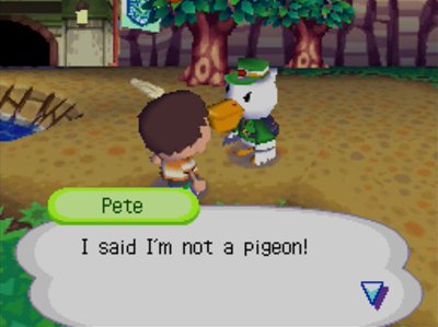 Pete: I said I'm not a pigeon!