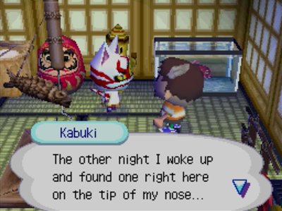 Kabuki: The other night I woke up and found one right here on the tip of my nose...