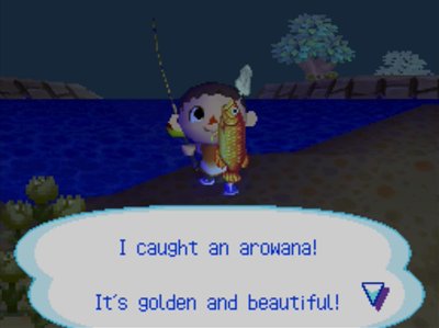 I caught an arowana! It's golden and beautiful!