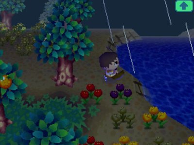 A new black tulip on the ground near the river in Animal Crossing: Wild World.