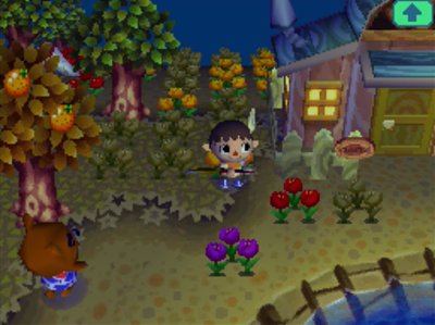 Jeff finds some purple tulips near Big Top's house.