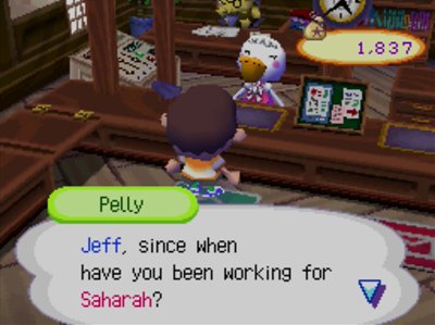 Pelly: Jeff, since when have you been working for Saharah?