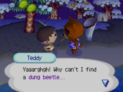 Teddy: Yaaarghgh! Why can't I find a dung beetle...