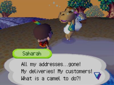 Saharah: All my addresses...gone! My deliveries! My customers! What is a camel to do?!
