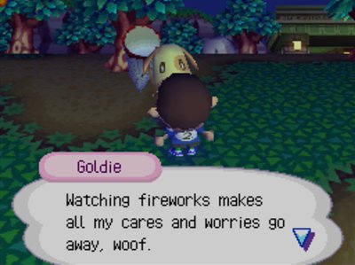 Goldie: Watching fireworks makes all my cares and worries go away, woof.