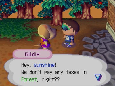 Goldie: Hey, sunshine! We don't pay any taxes in Forest, right??