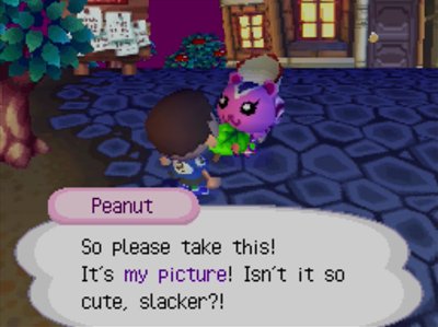 Peanut: So please take this! It's my picture! Isn't it so cute, slacker?!