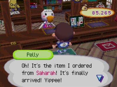 Pelly: Oh! It's the item I ordered from Saharah! It's finally arrived! Yippee!