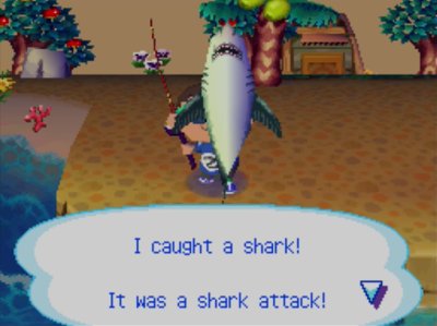 I caught a shark! It was a shark attack!