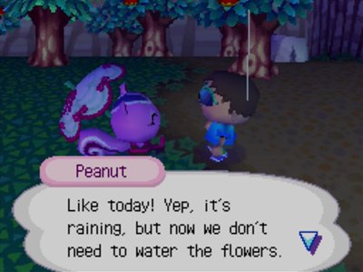 Peanut: Like today! Yep, it's raining, but now we don't need to water the flowers.